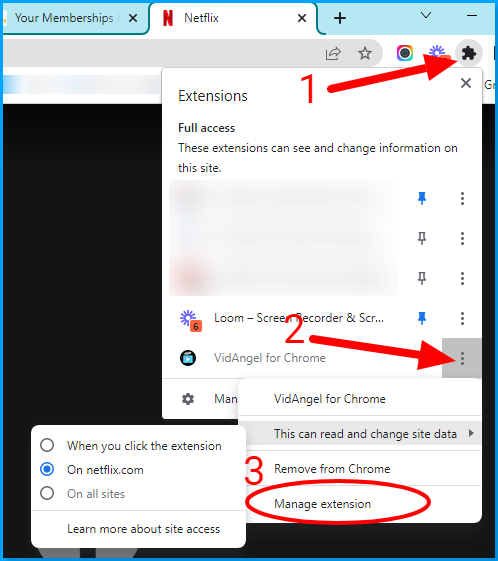 web_extension_mange_extension.png