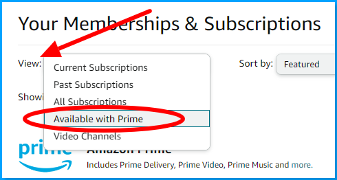 How to check amazon channel 2024 subscriptions