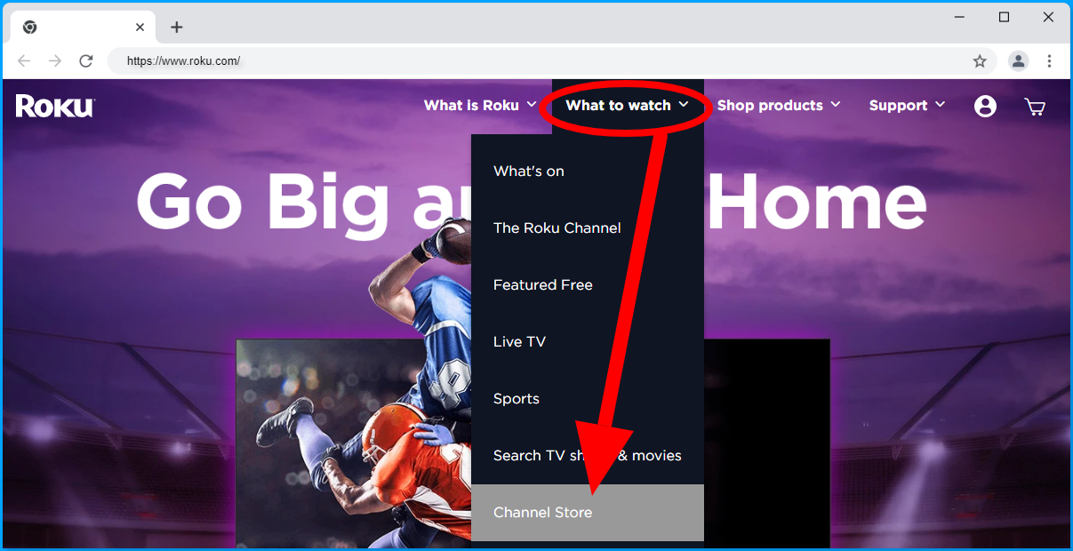 VidAngel app from roku website.jpg