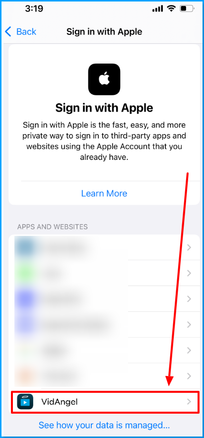 apple id_vidangel.png