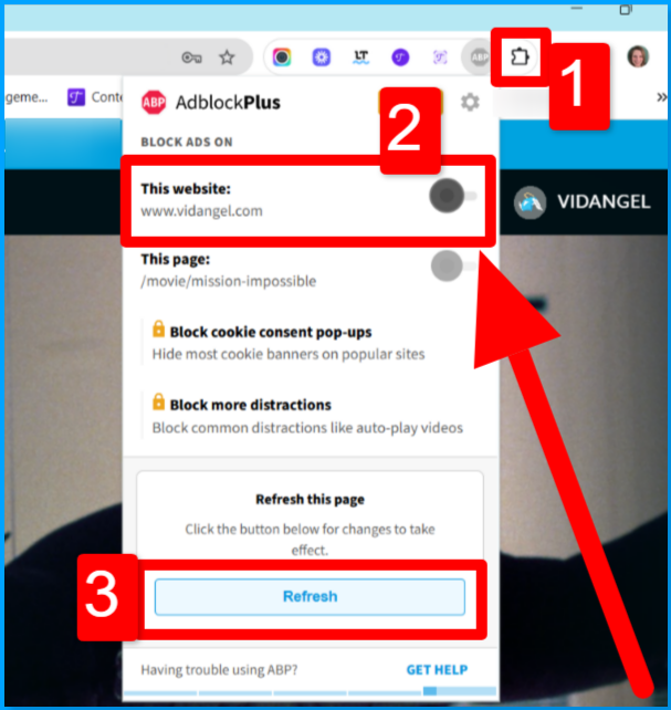 adblock_whiteliste this site.png