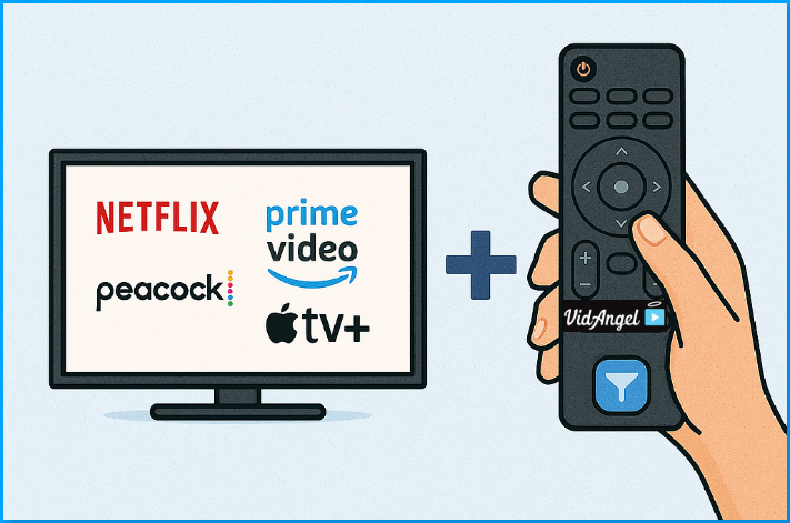 vidangel remote.png
