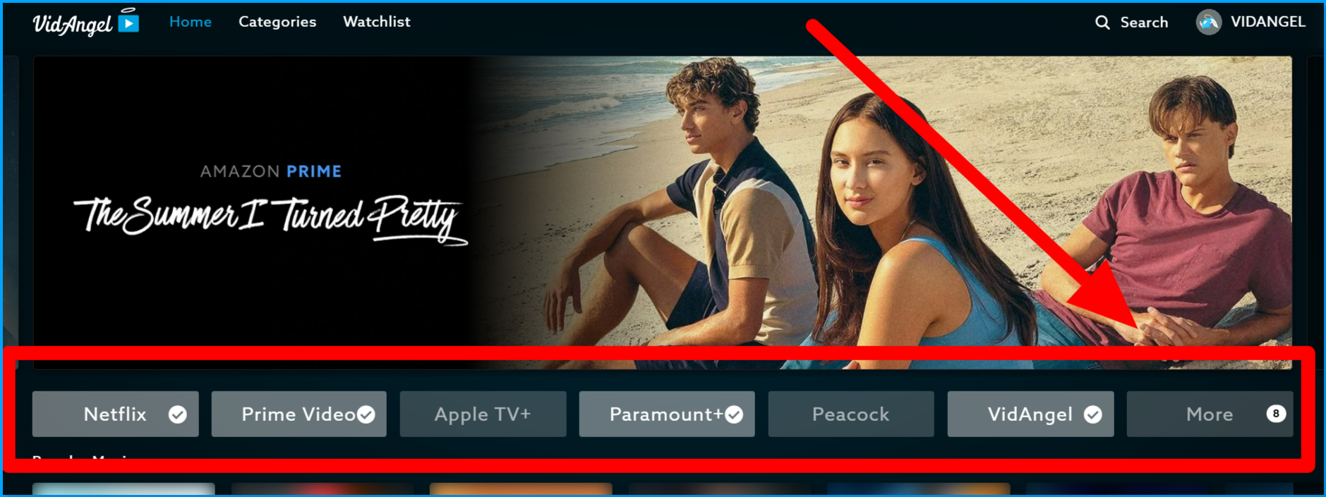 browse by streaming service_web_more button.png