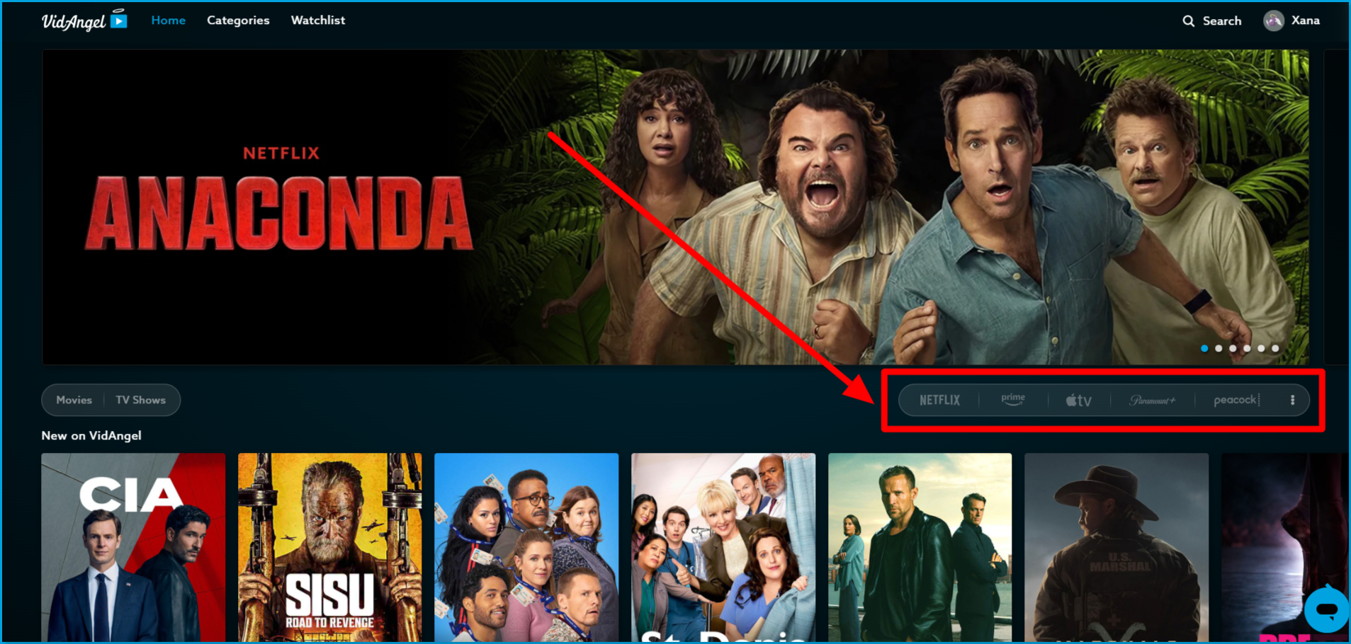 Browse_by_sub_web_1.png | CONTENT: VidAngel website home page showing Subscriptions for streaming services